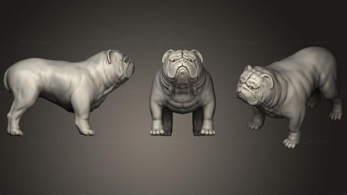 Статуэтки животных (Бульдог, STKJ_1665) 3D модель для ЧПУ станка